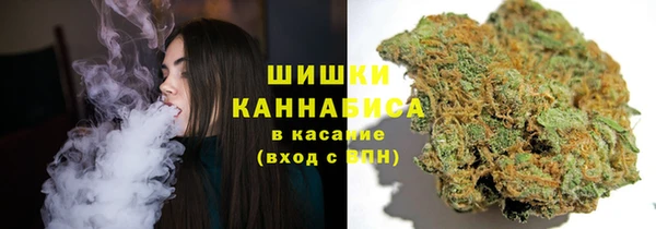 дмт Протвино
