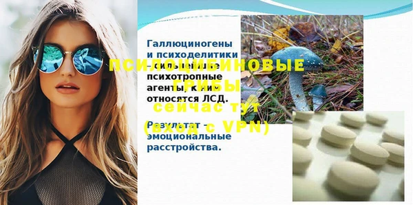 прущий лед Абаза