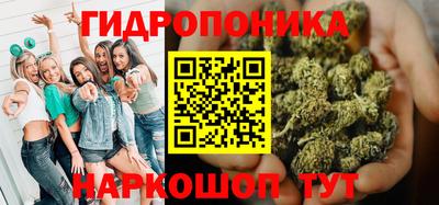 хмурый Кингисепп