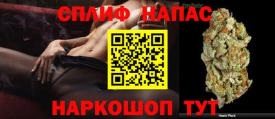 хмурый Кингисепп
