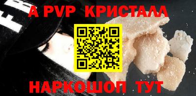 хмурый Кингисепп